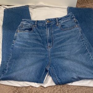 American Eagle Outfitters High Rise Blue Jeans